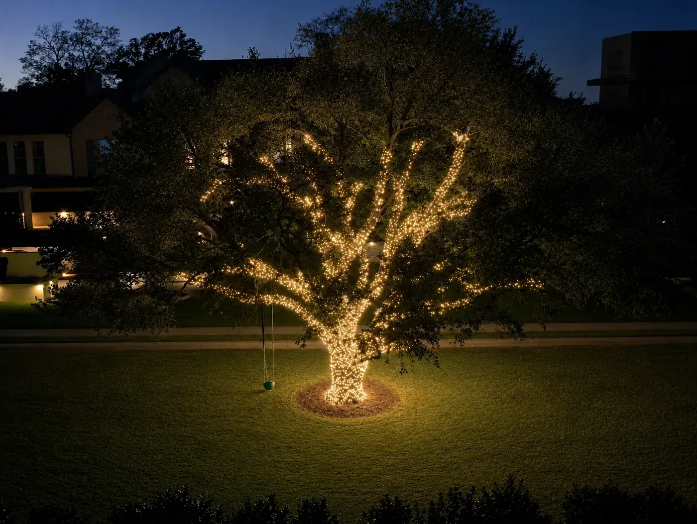 Large oak tree wrapped trunk-to-branch in warm white lights glowing at dusk on a DFW front lawn
