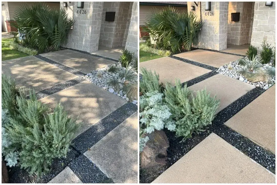 Modern paver walkway before and after professional cleaning in Frisco, Texas