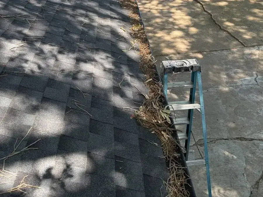 Gutter overflowing with leaves and debris before cleaning at a DFW home