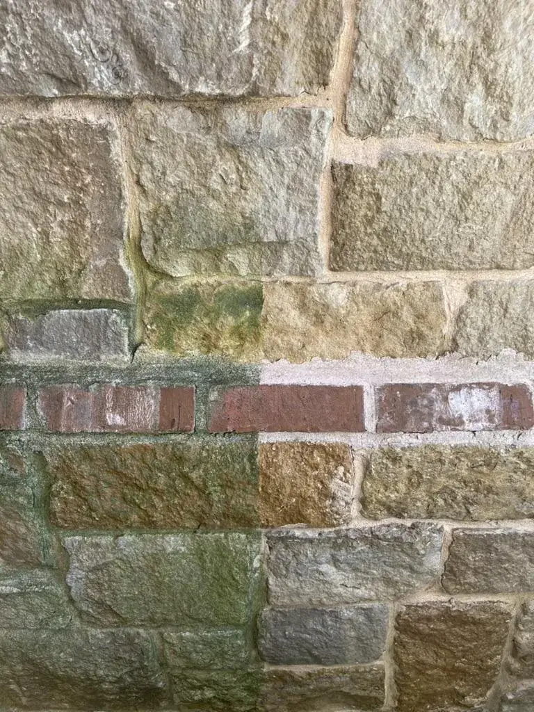 Stone and brick wall half-cleaned by soft washing — green algae on one side, restored stone on the other, DFW