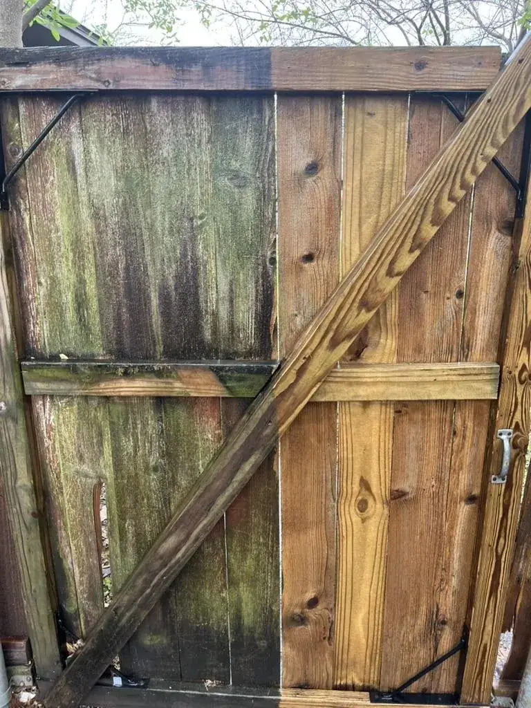 Wood fence gate half-cleaned showing dramatic before and after contrast, DFW